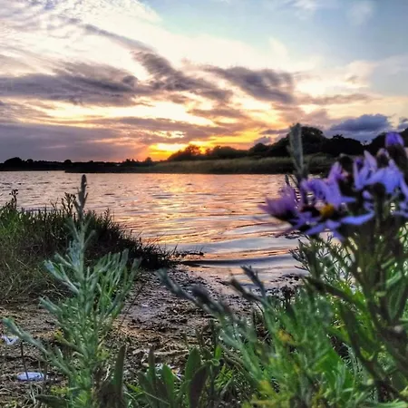 4 Star In Ronde-by Traum *